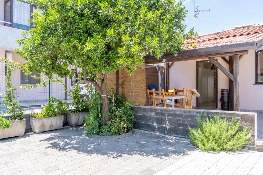 RSM Home - 3