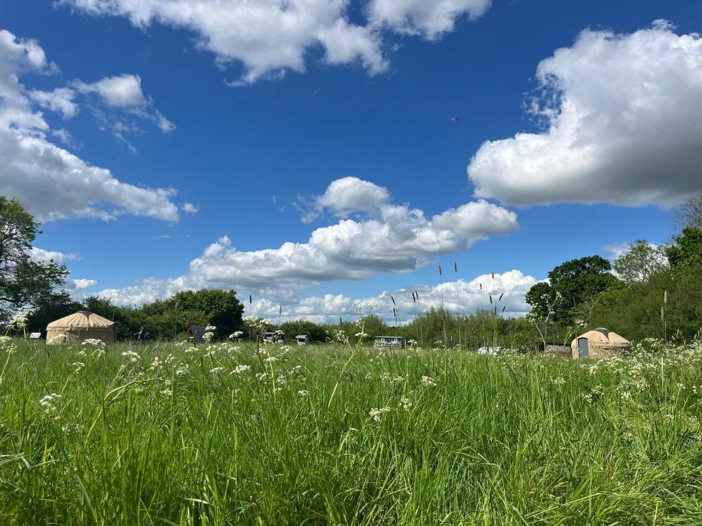 Nordic Glamping at Botswicky - a nature based retreat, Bishopstone