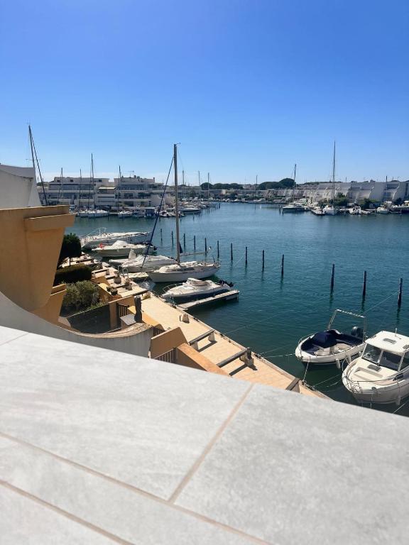 Le Plaisancier - Appartement Terrasse Vue sur le Port de Plaisance parking - 4
