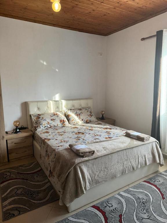 Villa Zefi Rrenc, Skadar