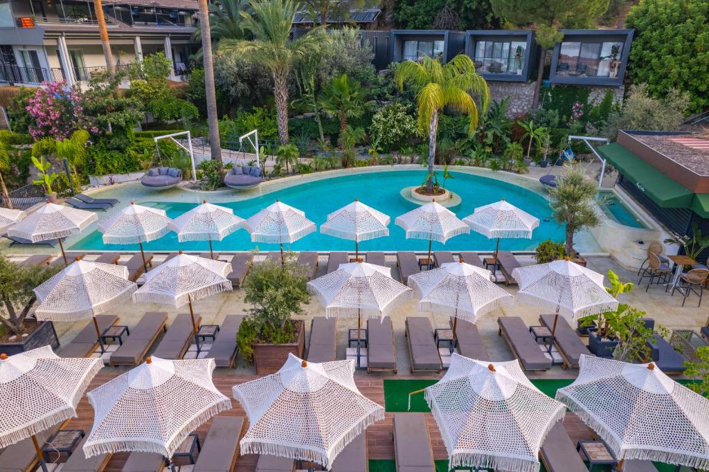 Morina Deluxe Hotel — Swimming pool in Ölüdeniz, Mugla