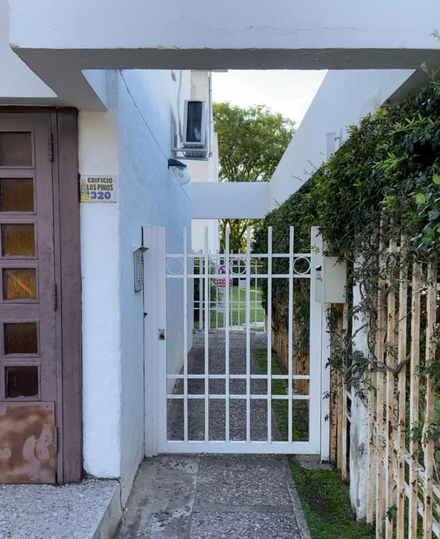 Complejo Los Pinos - Departamento de un dormitorio con parque y piscina - 2