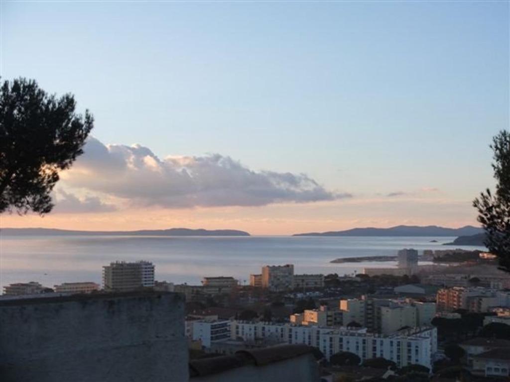 Vue sur mer pour ce T2 avec terrasse, parking, Le Lavandou, 4 personnes - FR-1-803-25 - 1