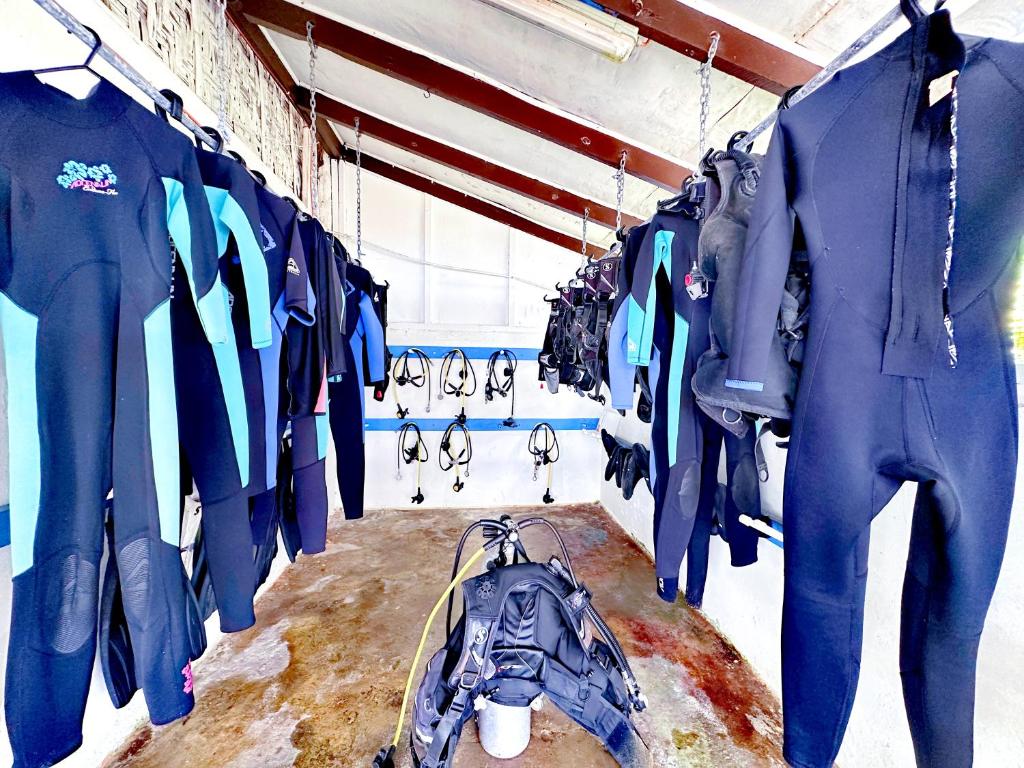 Sport en activiteiten