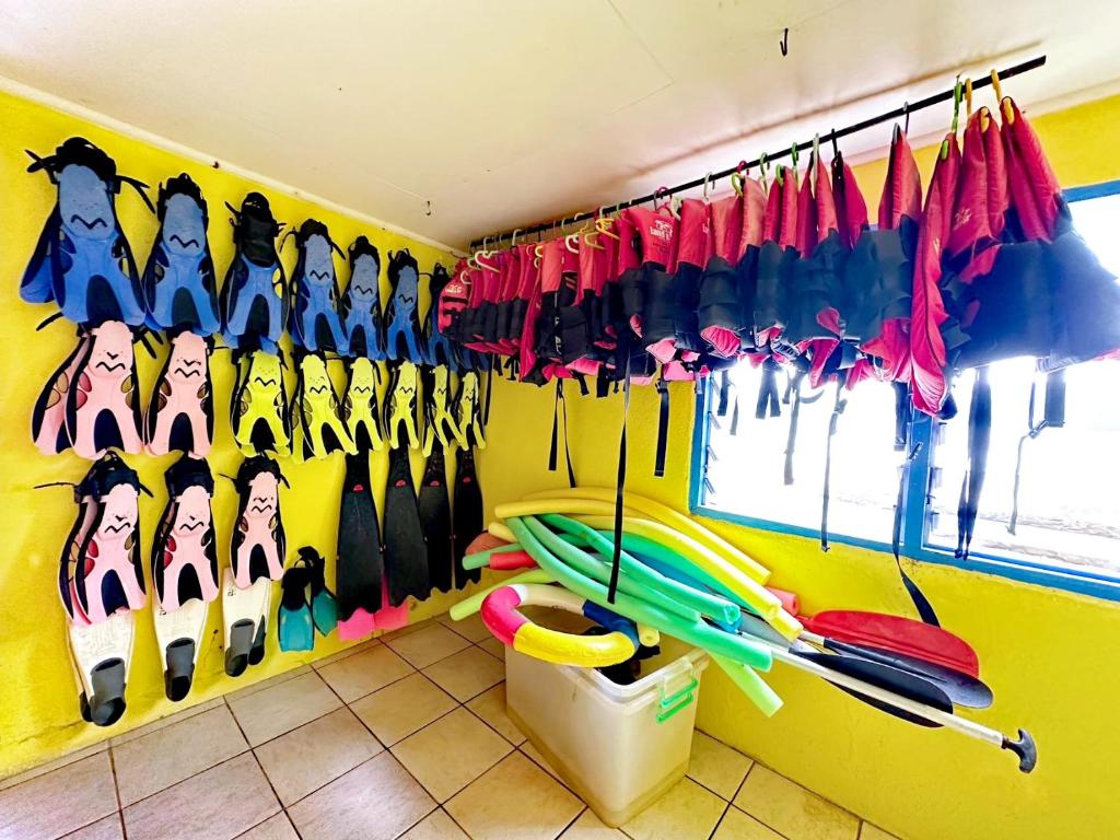 Sports and activities
