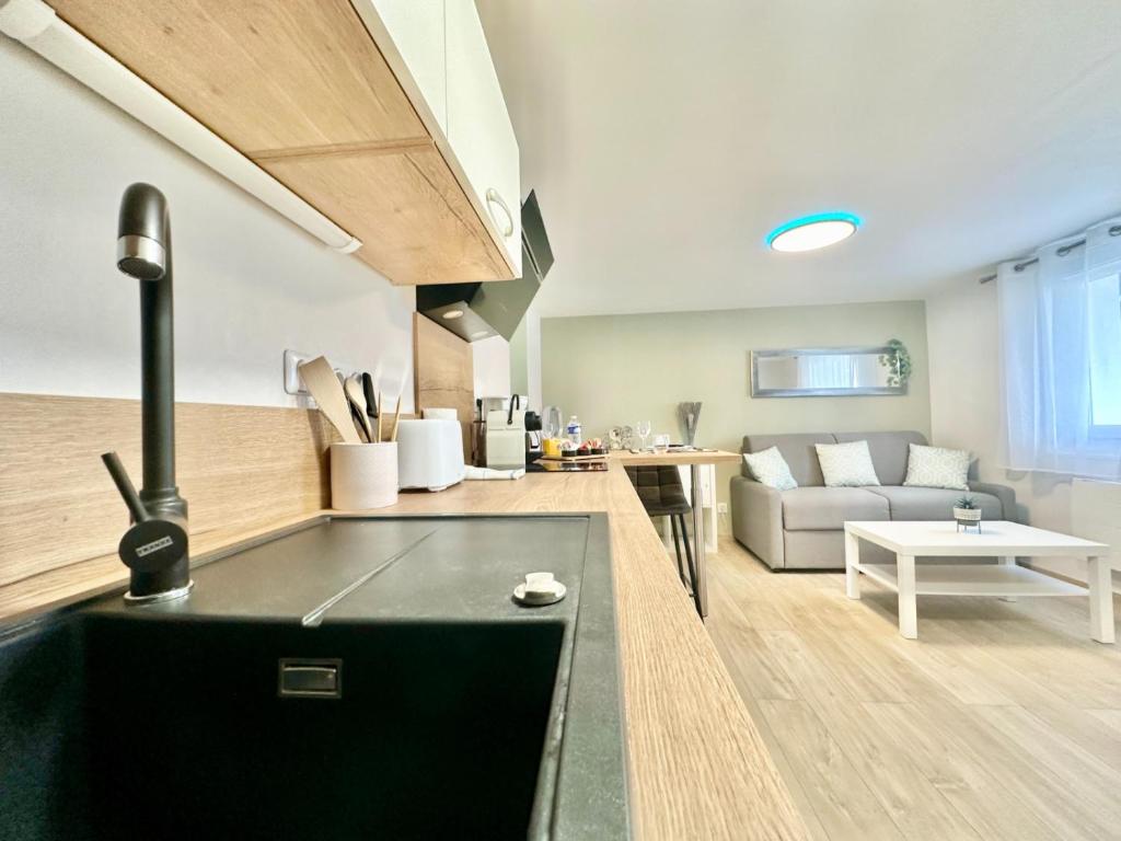 Le Populaire, cosy et lumineux, avec parking - 2