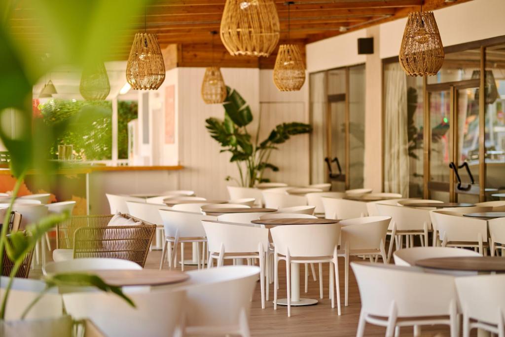 Alua Boccaccio — Restaurant & bars in Alcudia, Balearic Islands