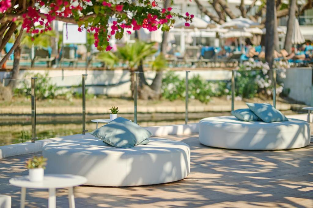 Alua Boccaccio — Swimming pool in Alcudia, Balearic Islands
