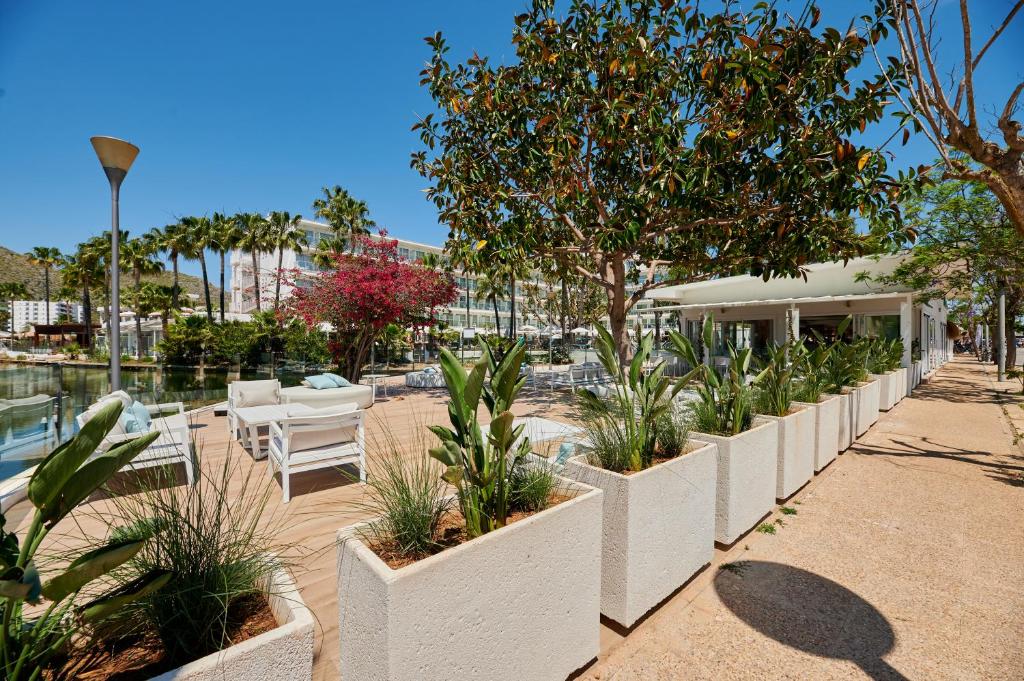 Alua Boccaccio — Hotel building in Alcudia, Balearic Islands