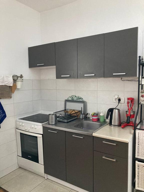 Cozy Visegradska - 5