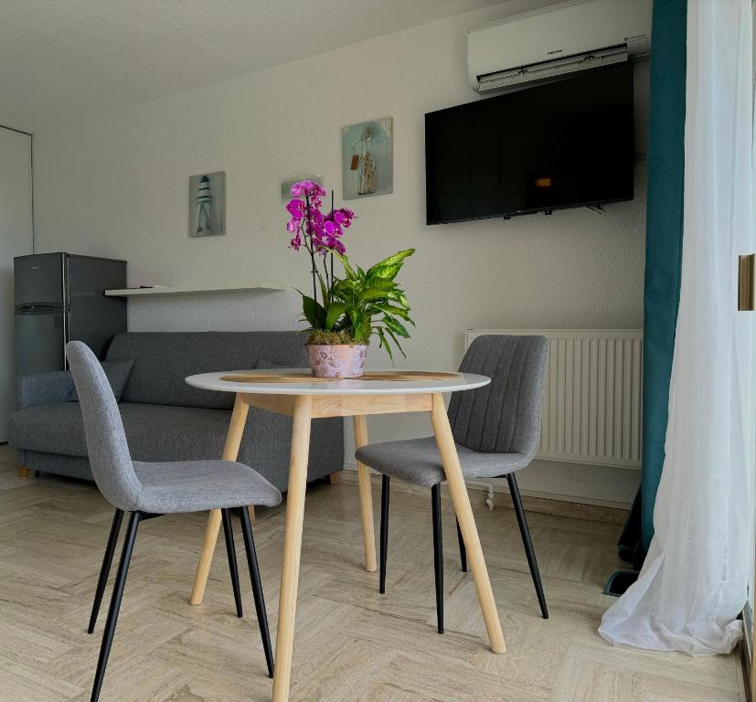 My Resid Appart Cannes marina vue mer - 5