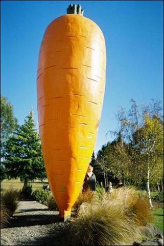 Lähistön nähtävyydet