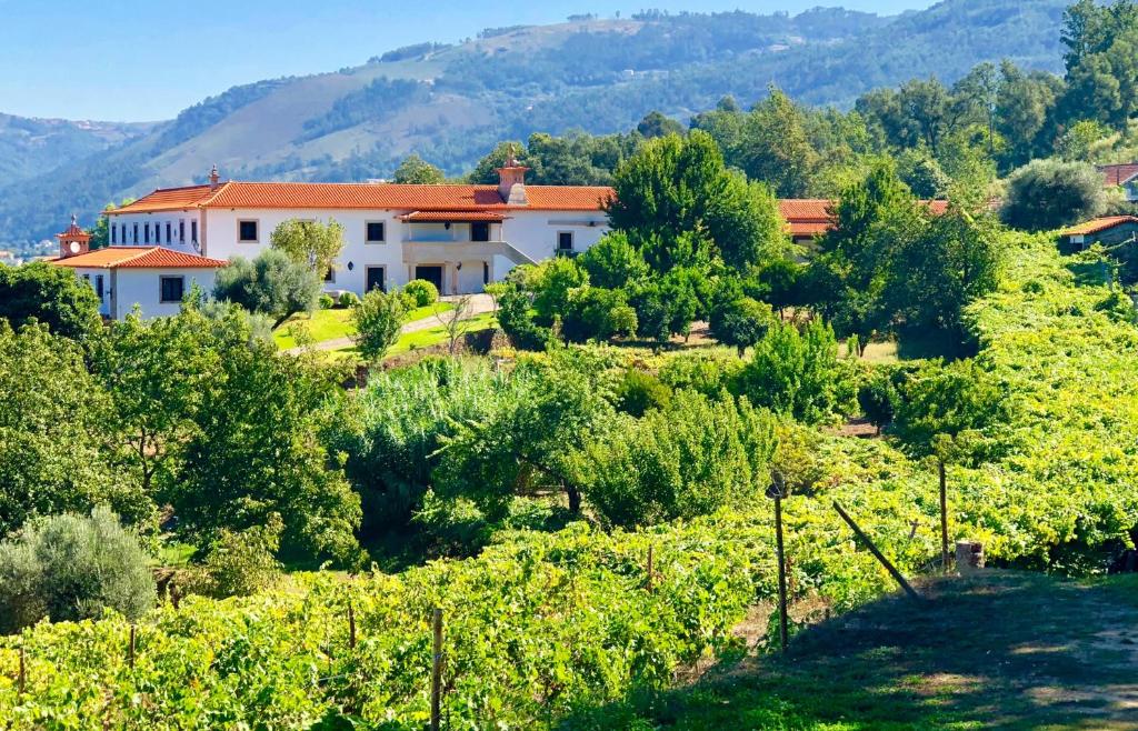 Quinta das Fontes, Poças do Monte