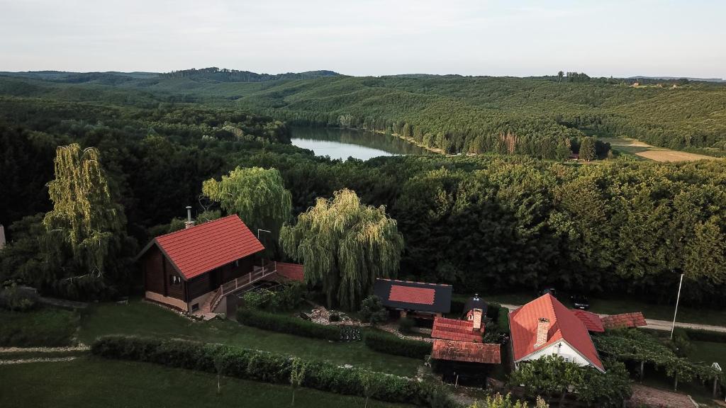 Garić Bajka, Križevci