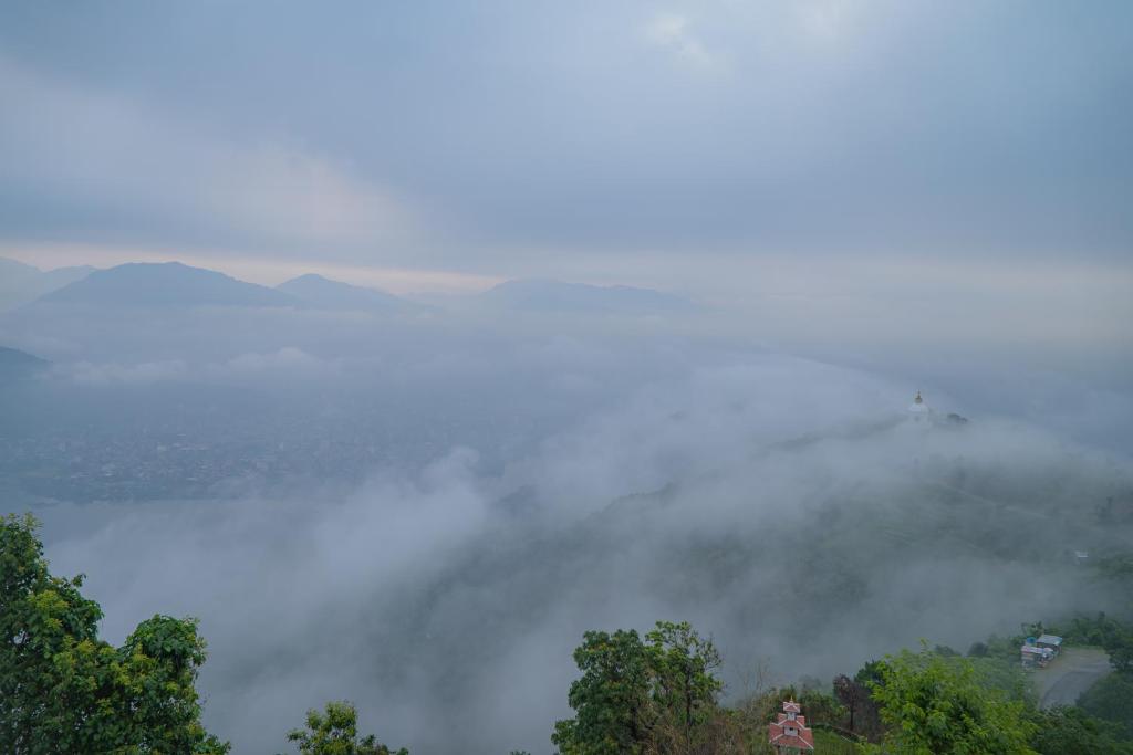 Surrounding environment