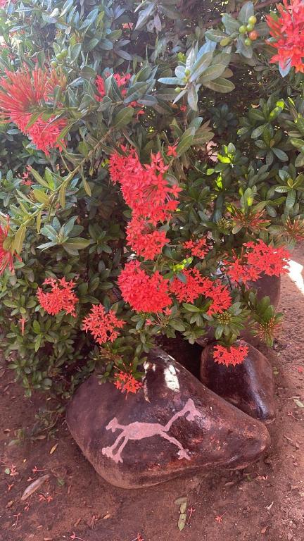 Hotel La Casona de Don Pepe - 3