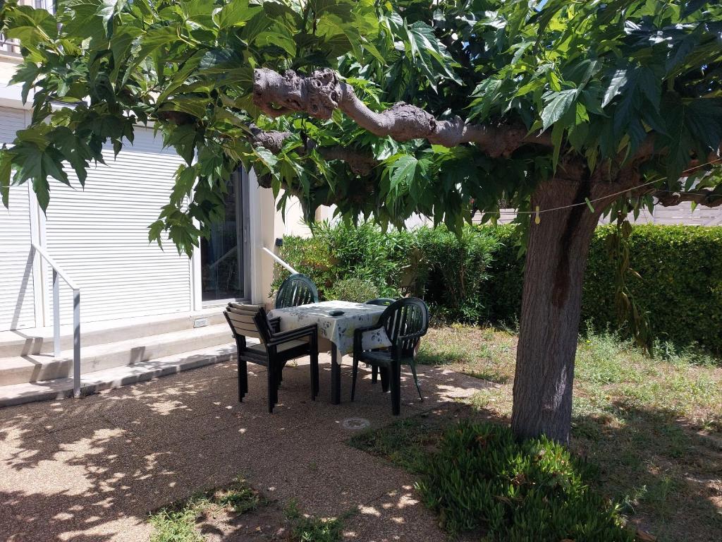 Appart T3 50m PLAGE JARDIN PARKING - 4