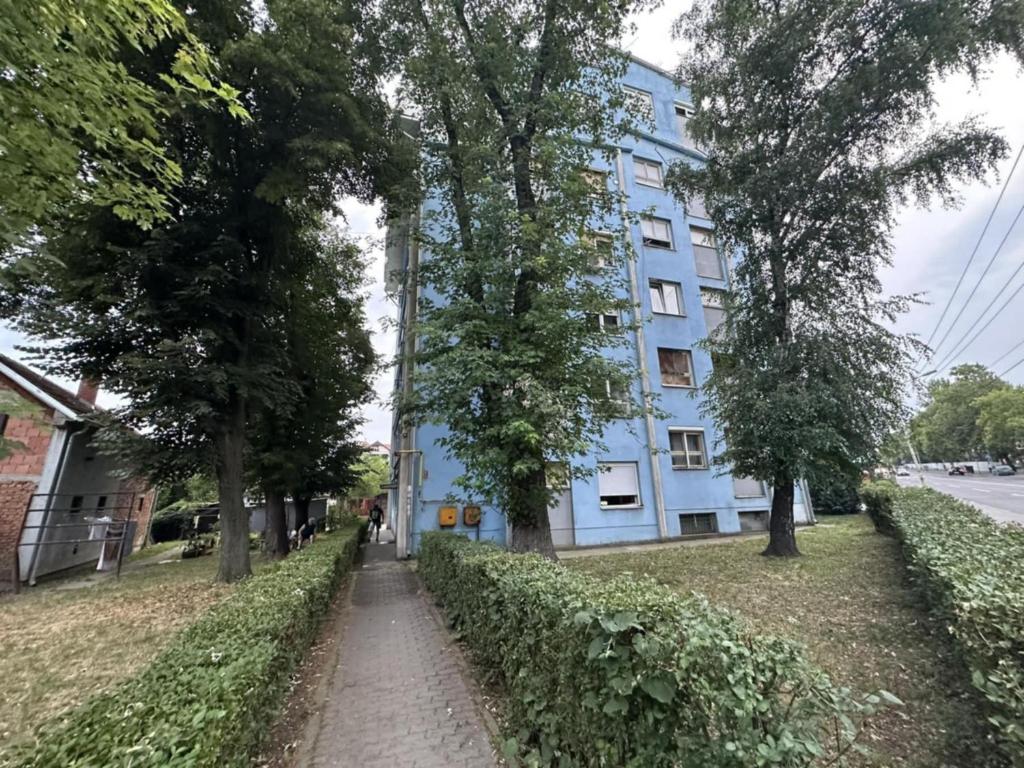Delfin apartmani - 4