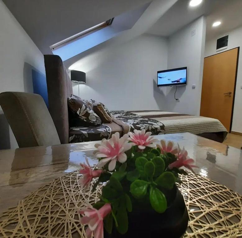 Studio Djukić Sokobanja, Soko Banja