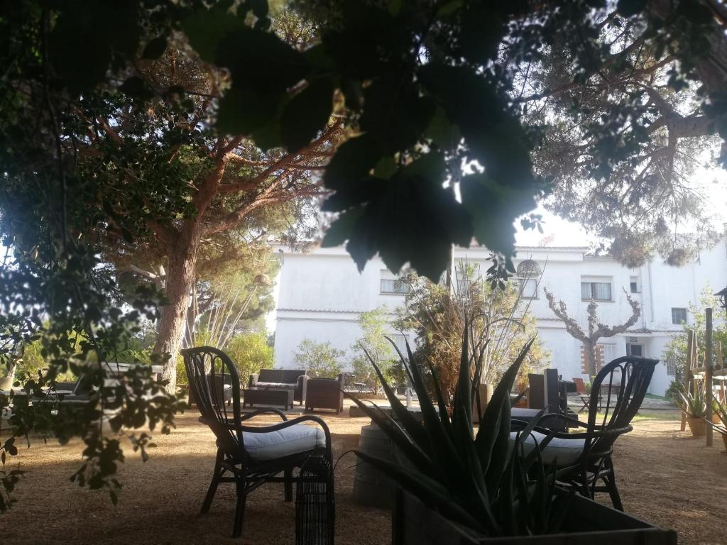 Hostal Los Pinares - 2