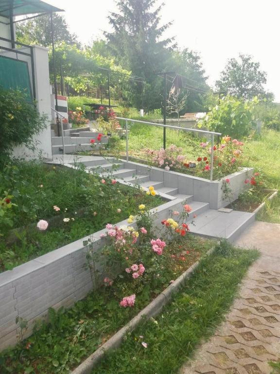 Villa Rose - 2