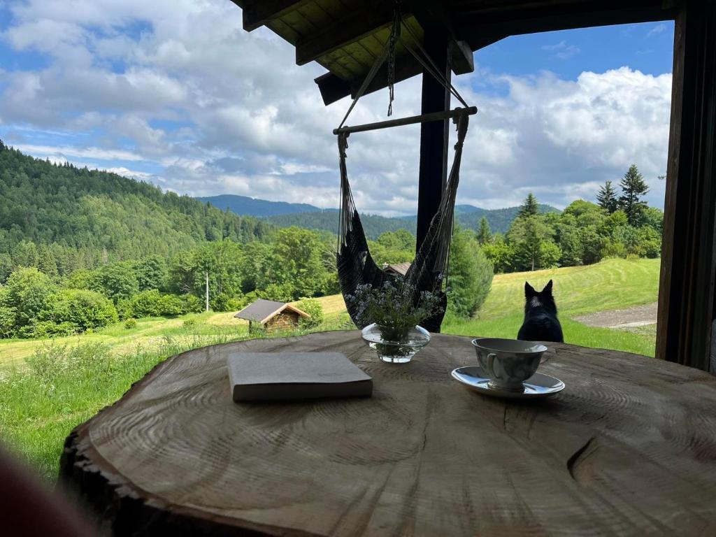 Pod dobrym adresem- domek pod lasem, Cisna