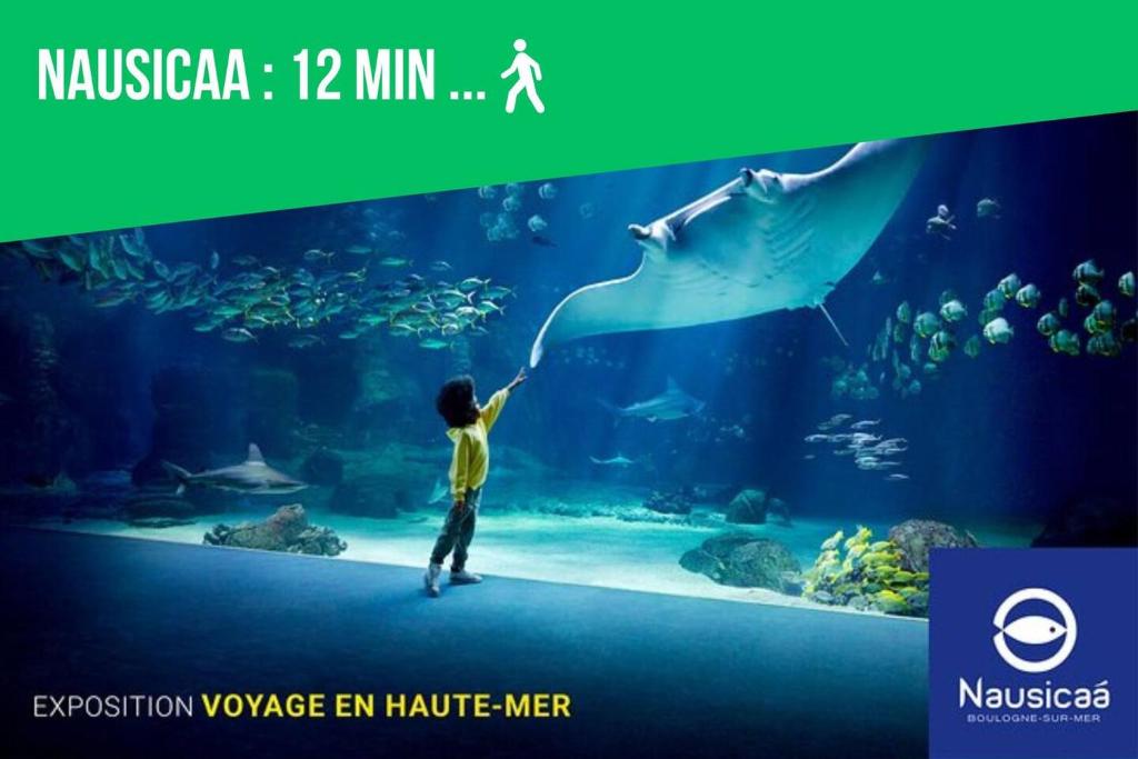 Le Refuge des Marées - Idéalement situé - 4