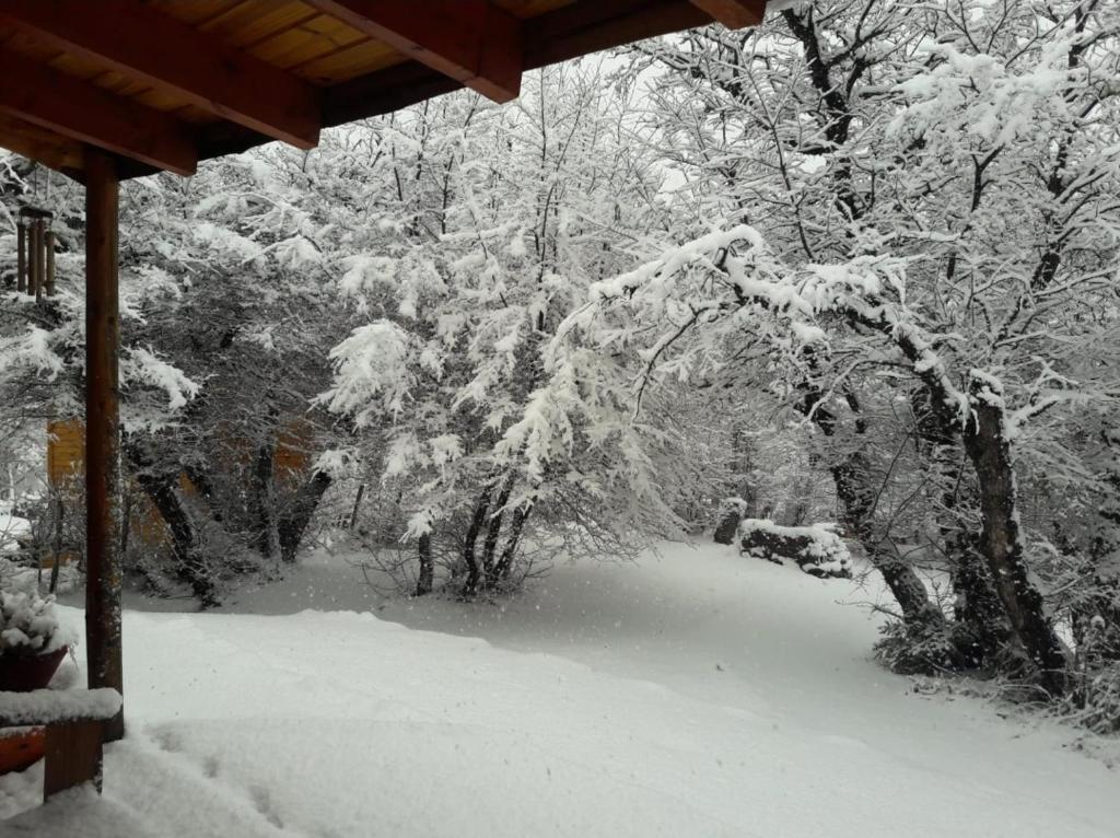 Cabañas Wirkaleufu - 4