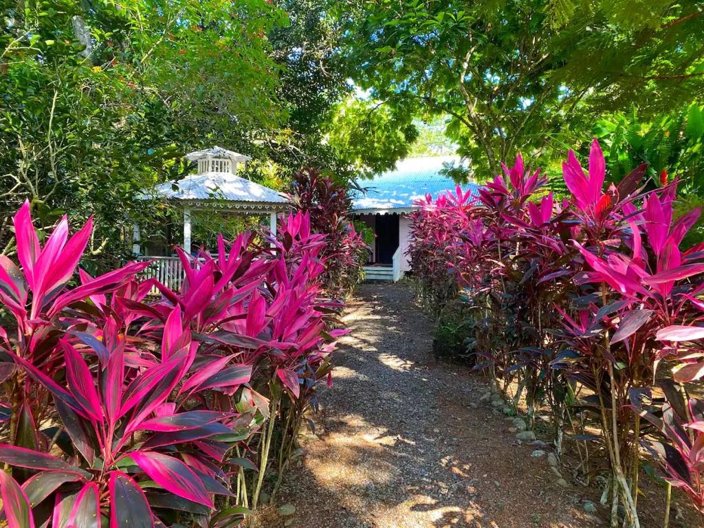 Calypso Cabaña, Cahuita