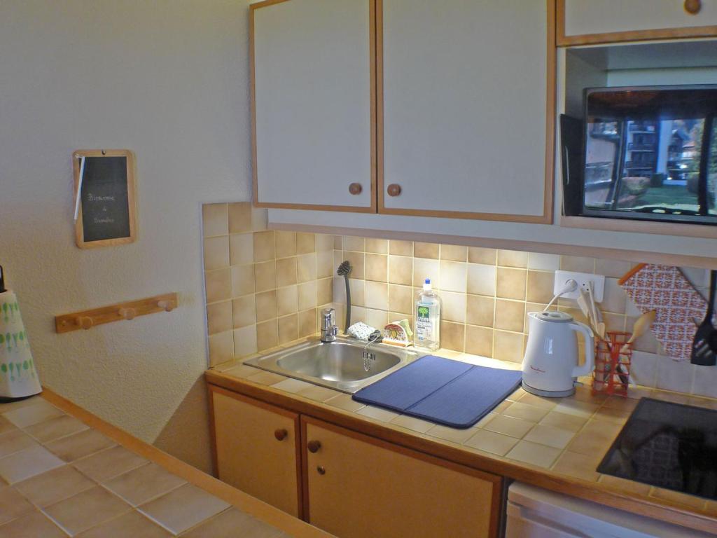 Studio cabine pour 4 pers, animaux acceptés, internet, vue montagne - FR-1-629-136 - 3