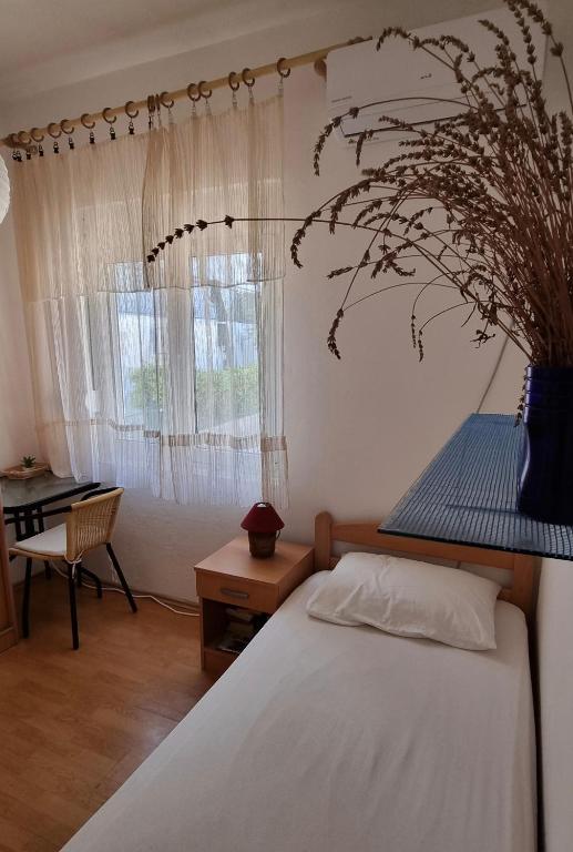 Single Room with Shared Shower and Toilet