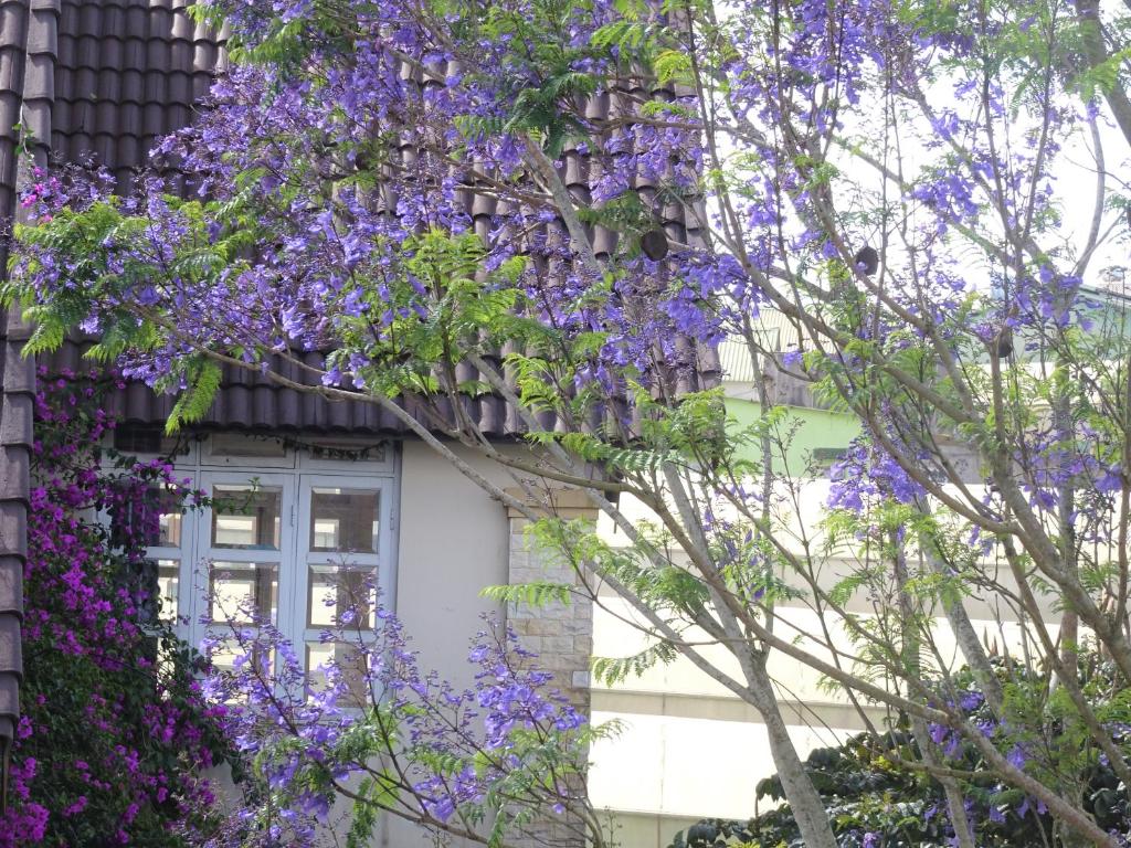 MENTO Villa Đà Lạt