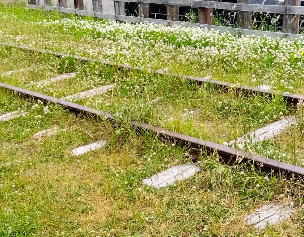 附近景點