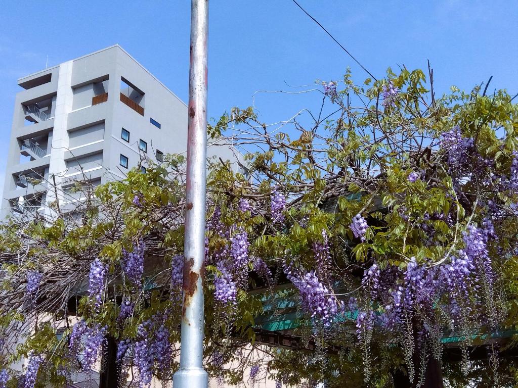 附近景點