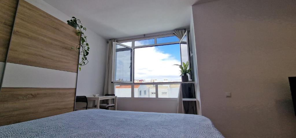 Estudio Canteras Beach - 2
