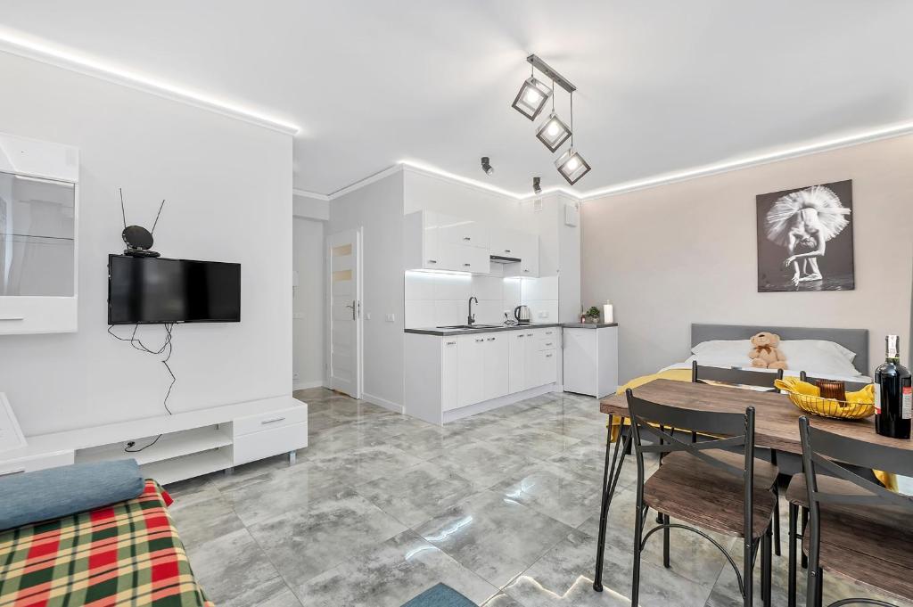 Lumina comfy apart near the railway station, Lodž