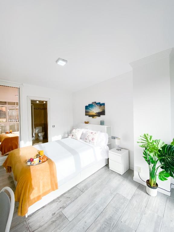 3 Rooms y 3 baths y aparcamiento Catedral Málaga - 2