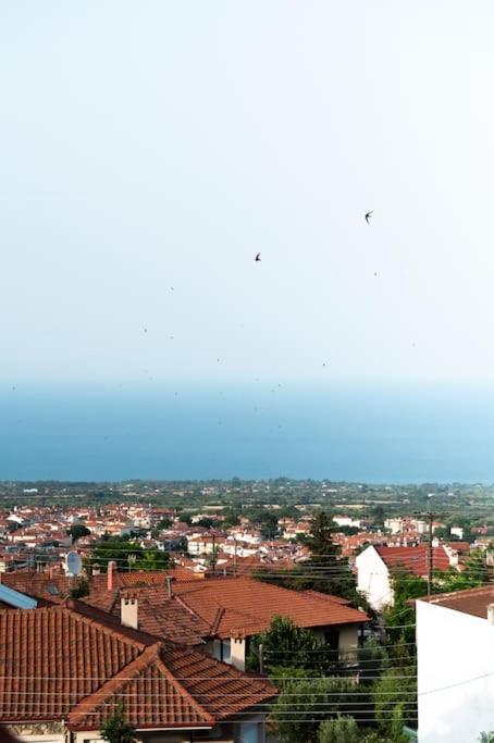 Olympian Panorama, Litochoro