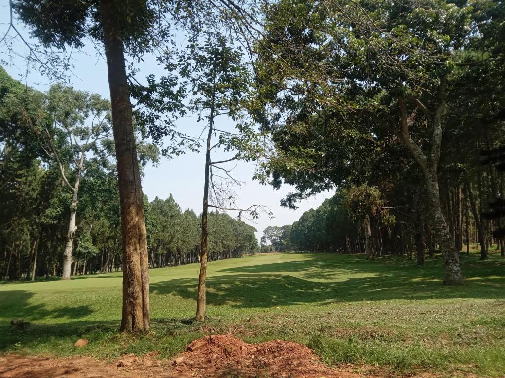 ゴルフコース（敷地内）