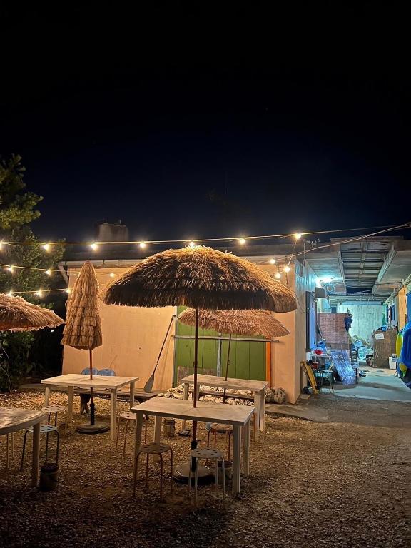 1. やどバンブー (..