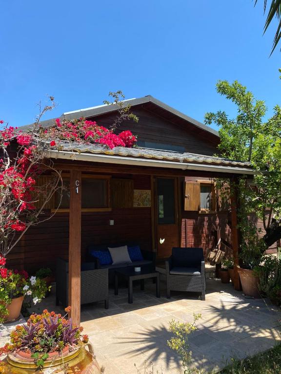 Ataraxia en Pr4tdip, Pratdip