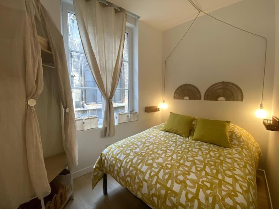 Polilla - Central et cosy - 2