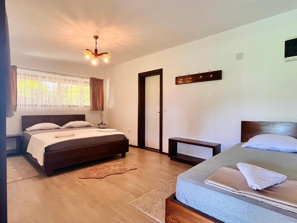 Balabani Local Stay - 5