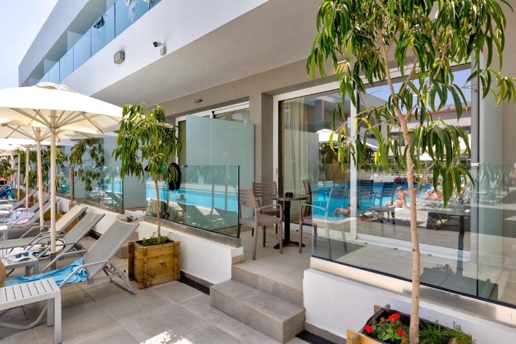 화이트 올리브 프리미엄 라가나스