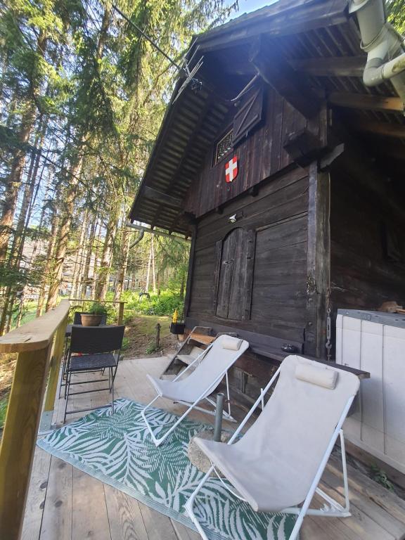Chalet savoyard "le Sapinet" - 1