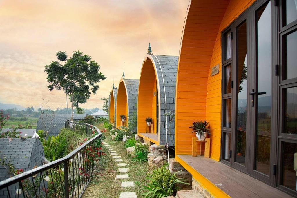 Trang Trại Gia Trịnh, Hanoj