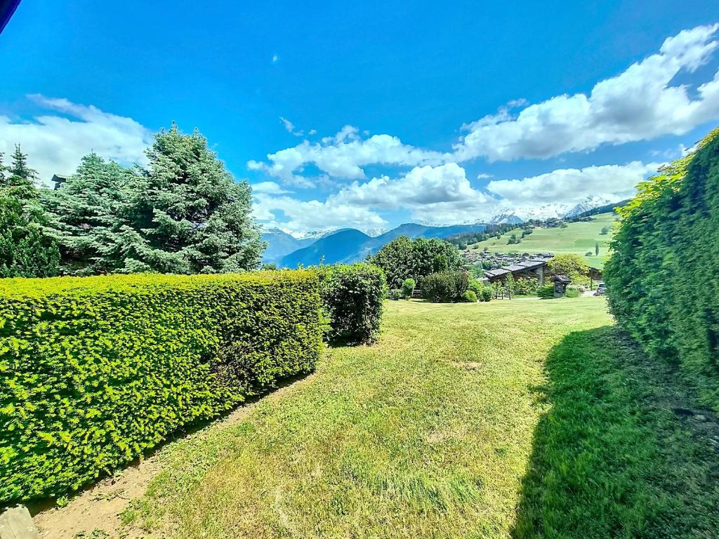 Appartement 2 chambres avec jardin au pied du Mont Blanc - FR-1-560-144 - 2