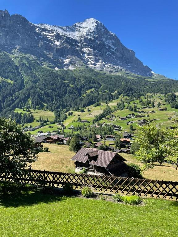 Cosy Swiss Apartment - 5
