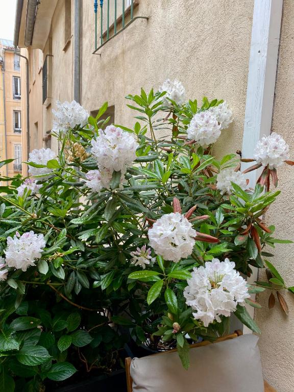 Dar Saad Appartement terrasse climatisation centre d Aix - 5