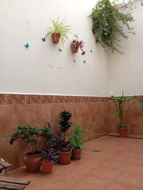 Apartamento Amapola - 4